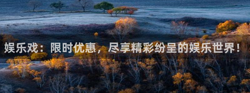 东莞市极悦平台电子科技有限公司：娱乐戏：限时优惠，尽享精彩纷呈的娱乐世界！