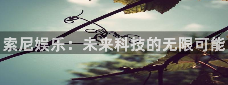极悦平台官网入口：索尼娱乐：未来科技的无限可能