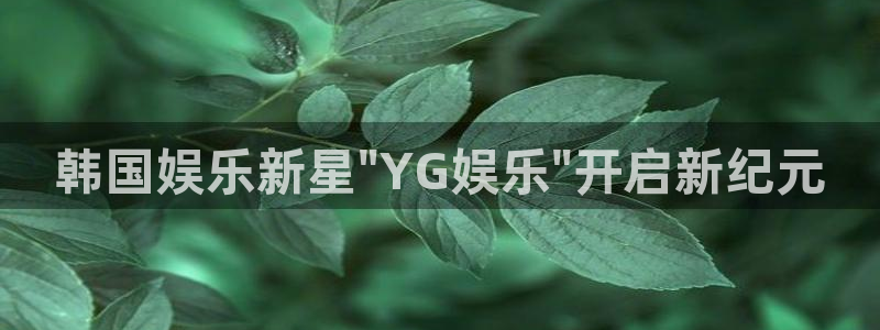 极悦平台体育凯捷平台主管：韩国娱乐新星\