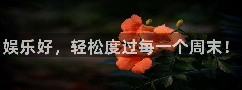 极悦平台体育f开户：娱乐好，轻松度过每一个周末！