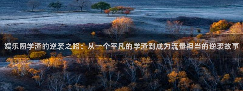 极悦平台集团总部：娱乐圈学渣的逆袭之路：从一个平凡的学渣到成为流量担当的逆袭故事