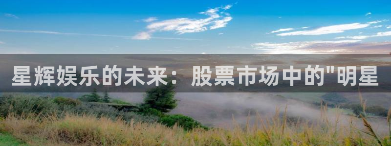极悦平台体育平台登录入口：星辉娱乐的未来：股票市场中的\