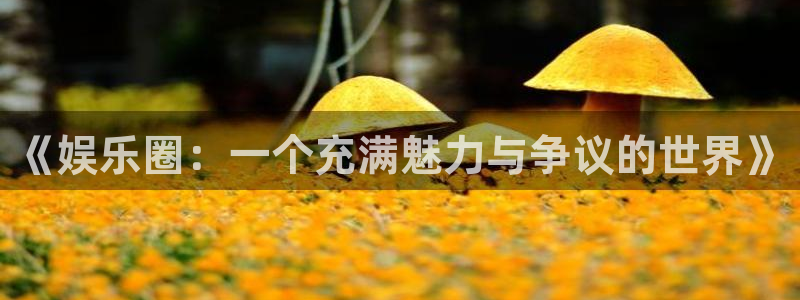 极悦平台体育3：《娱乐圈：一个充满魅力与争议的世界》