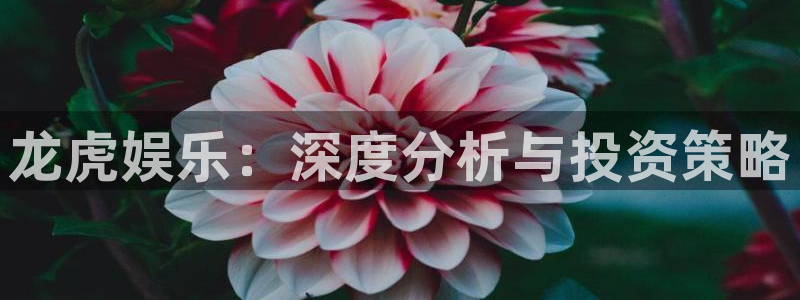 极悦平台账号注册入口：龙虎娱乐：深度分析与投资策略