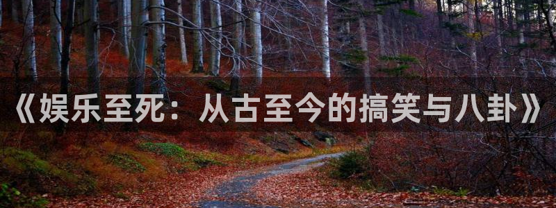 极悦平台官网版：《娱乐至死：从古至今的搞笑与八卦》