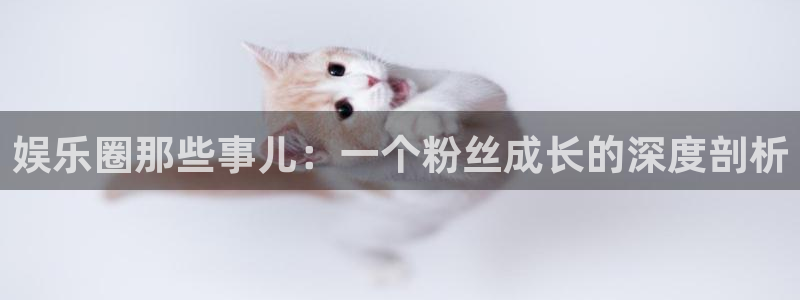 极悦平台体育：娱乐圈那些事儿：一个粉丝成长的深度剖析