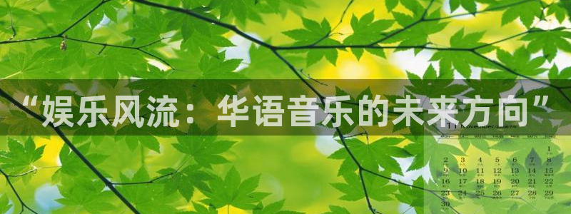 极悦平台平台官网版最新：“娱乐风流：华语音乐的未来方向”